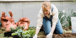 huerta ecológica